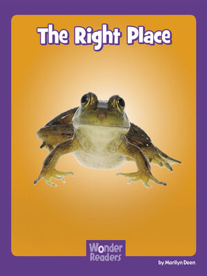 cover image of The Right Place